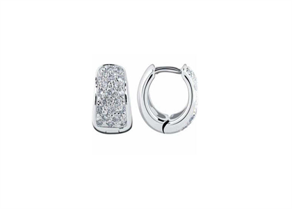 Rhodium Plated | Fashion Earrings